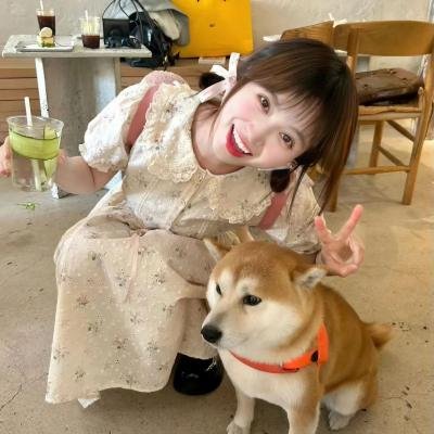 落花流水春去 封面